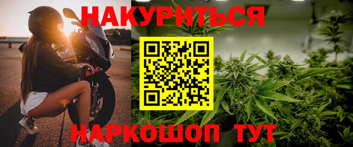 Конопля Bruce Banner Луга